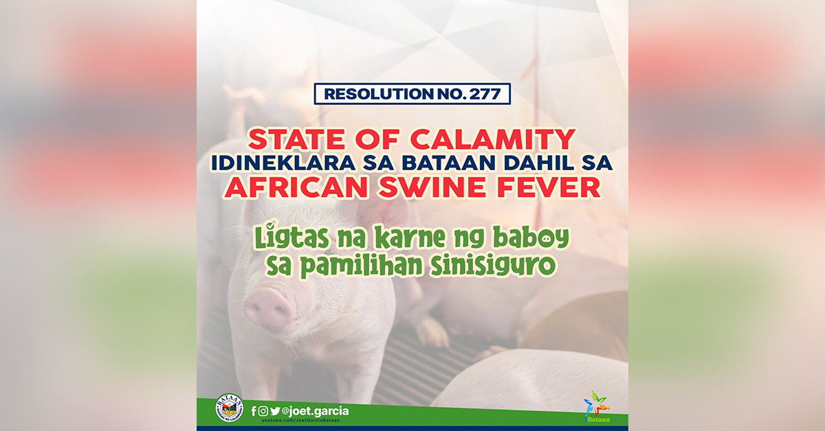 Gov declares state of calamity due to ASF