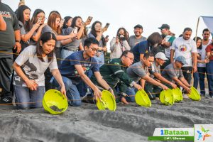 GNPD lets loose 270 'pawikan'