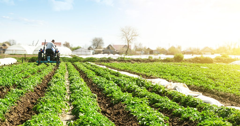 600 Balanga farmers get fertilizer assistance