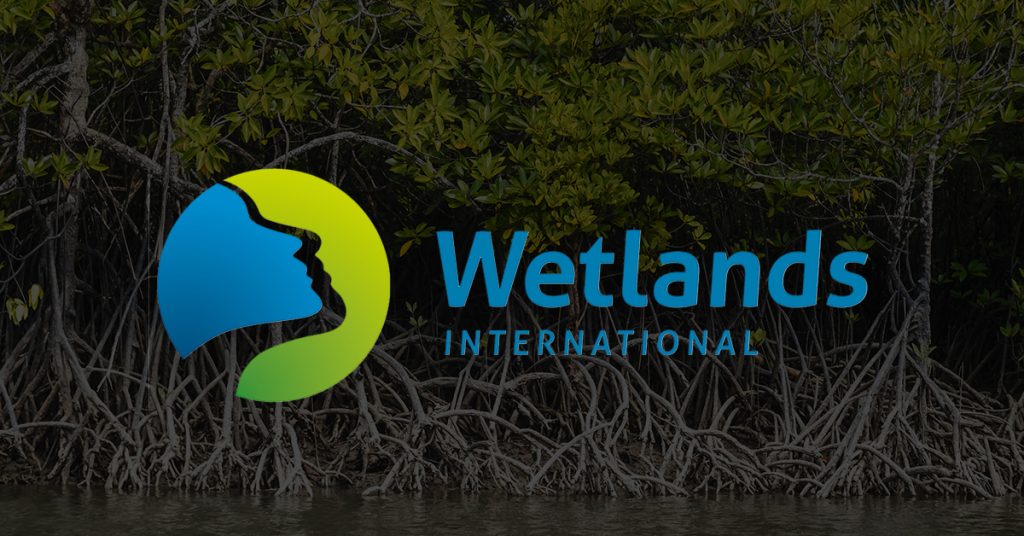 Wetlands International wants to recover mangrove lands