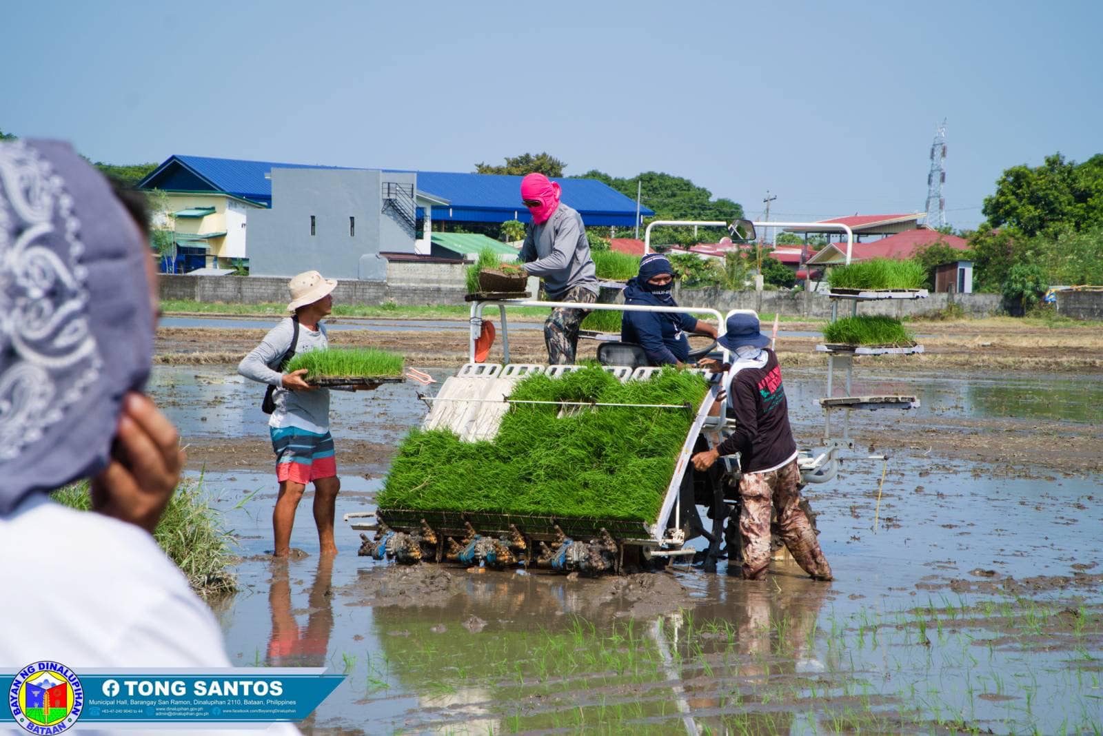 Dinalupihan, patungo na sa pagiging agropolis