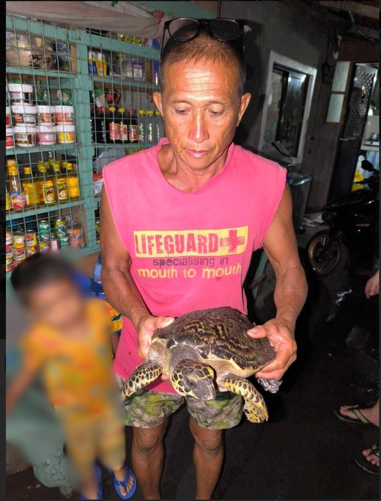 Endangered Hawksbill Sea Turtle rescued and released