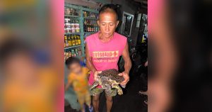 Pawikan Rescue