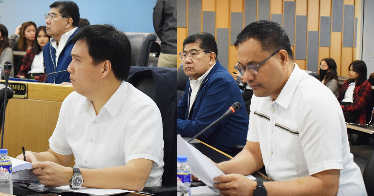 BMs Roman, Espeleta propose municipal libraries