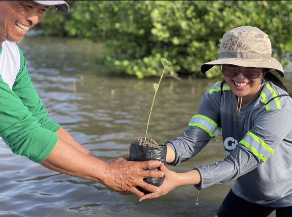 GMEC, GNPD plant 2,000 mangrove seedlings