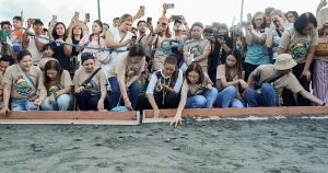 Pawikan Festival 2024
