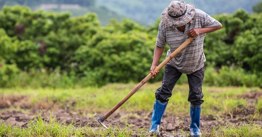 Balanga leaders continue to support farmers