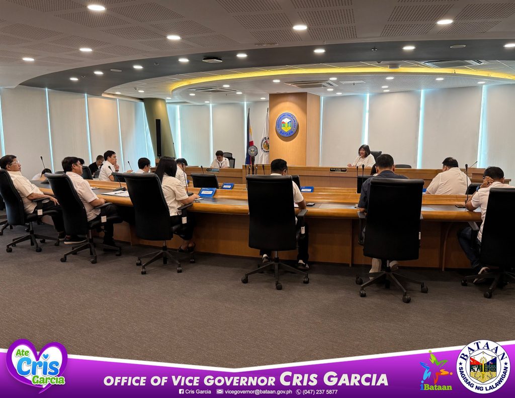 Bataan SP recognizes solo parent organizations for empowerment and support