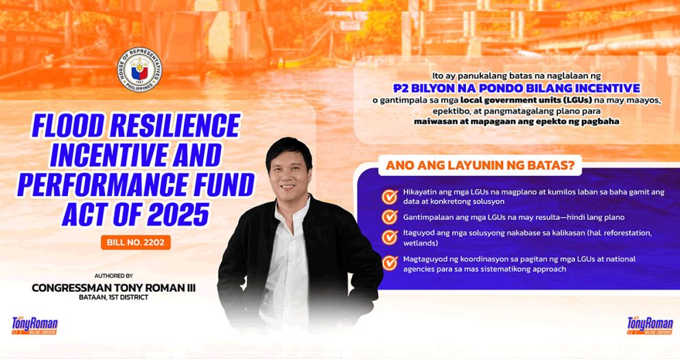 Roman pushes 2-billion flood resilience incentive fund