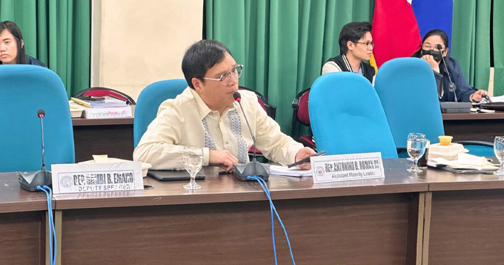 Roman pushes for mass transit master plan