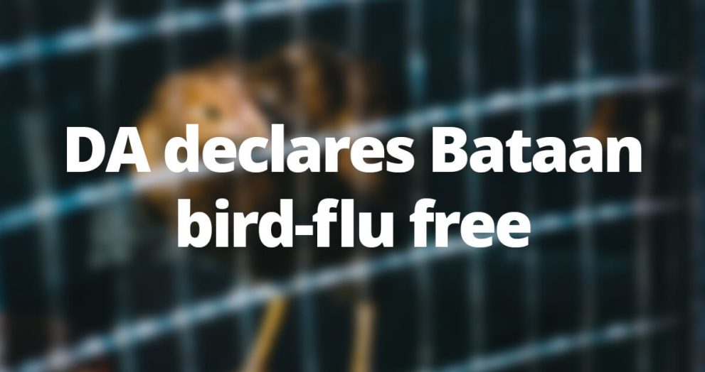 DA declares Bataan bird-flu free
