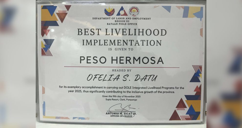 Hermosa receives multiple awards from DOLE
