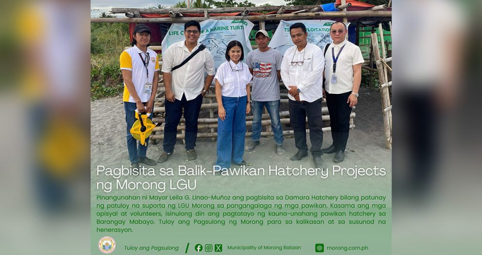 Morong widens scope for 'pawikan' conservation program