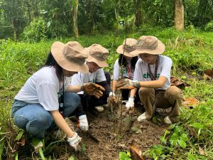 AboitizPower-backed Baka1Bataan program revives mangroves sites