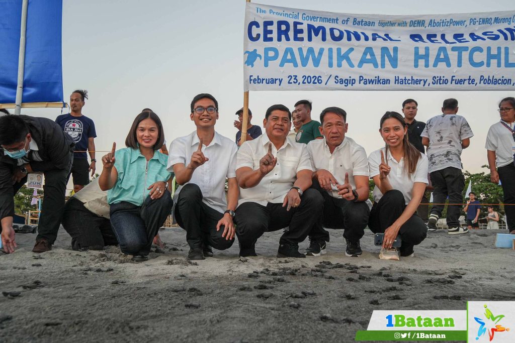 Ceremonial releasing of Pawikan Hatchlings