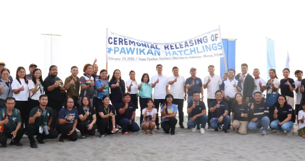 GNPD leads release of 336 pawikan hatchlings in Morong