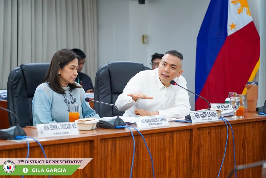 MBDA Act, isinalang sa Committee on Government Enterprise and Privatization