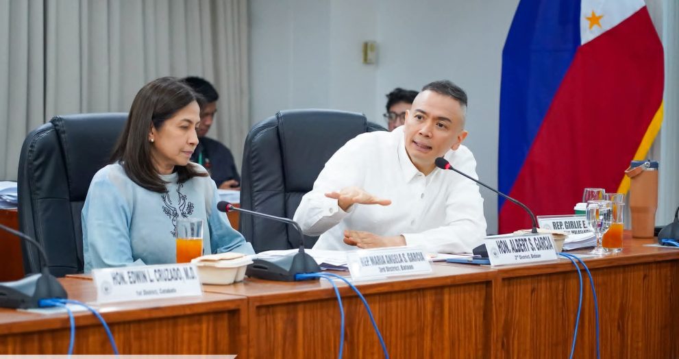 MBDA Act, isinalang sa Committee on Government Enterprise and Privatization
