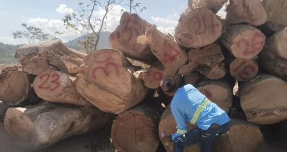 DENR turns over logs to support Coast Guard operations