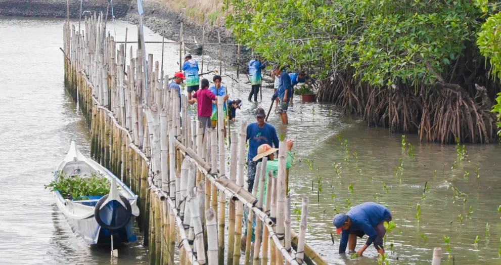 Powering coastal resilience: Energy, environment and community work together in Bataan