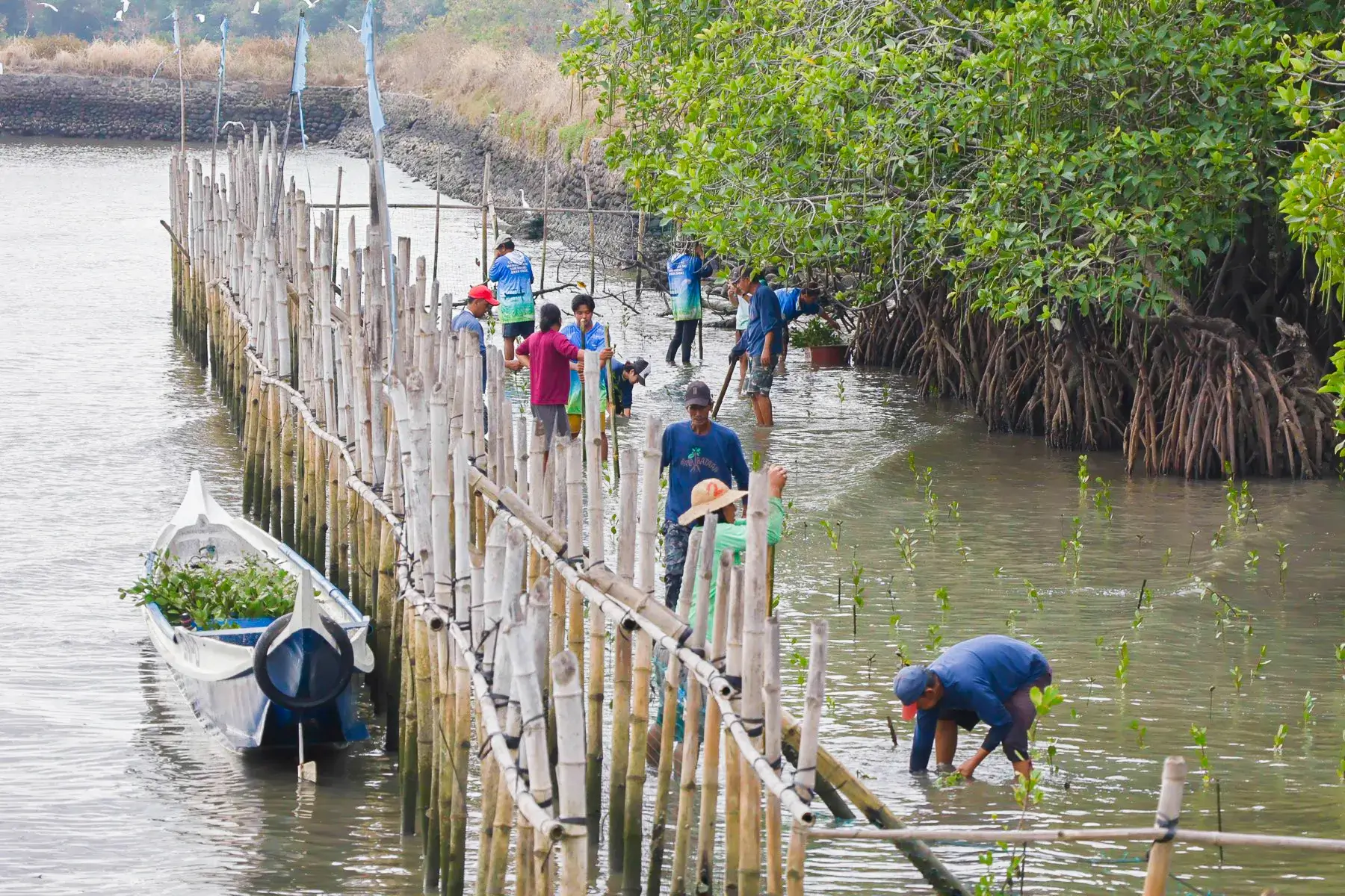 Powering coastal resilience: Energy, environment and community work together in Bataan