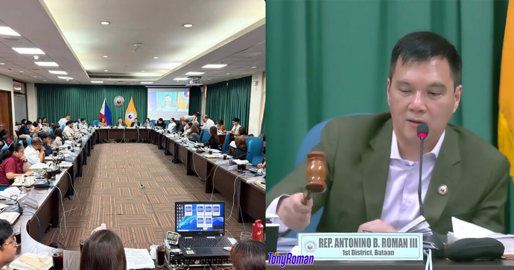 Roman leads hearing on Proposed amendments to Revised Penal Code