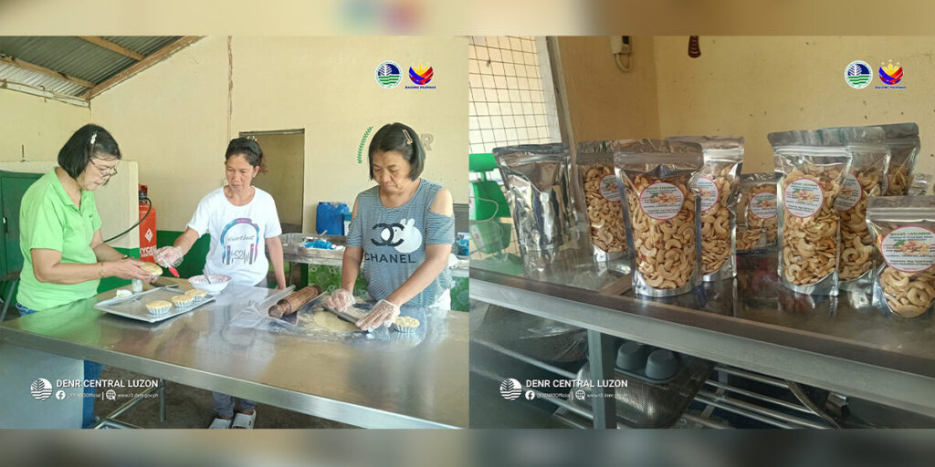 Pasilidad sa pagproseso ng kasoy sa Bagac