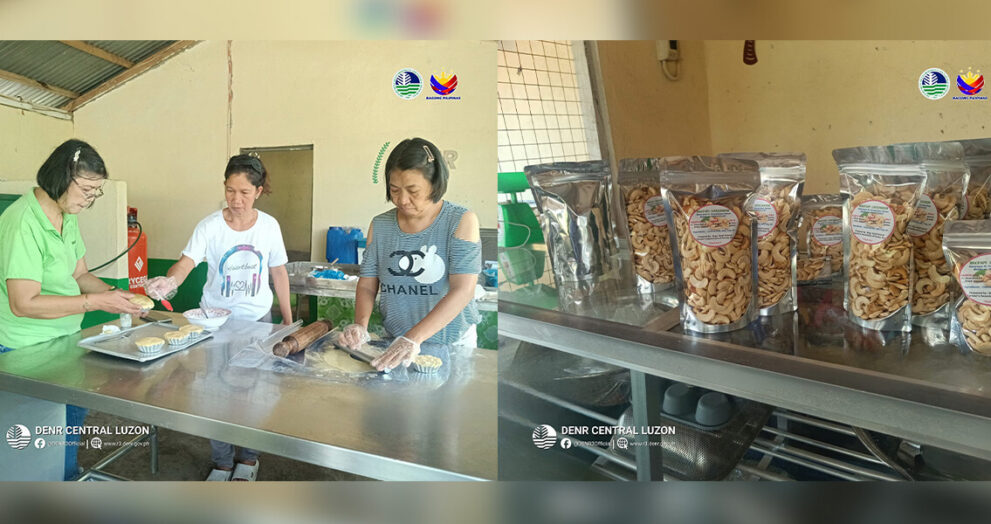 Pasilidad sa pagproseso ng kasoy sa Bagac