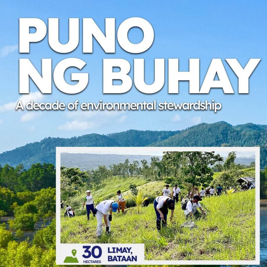 1.2 milyong puno, naipatanim ng Petron