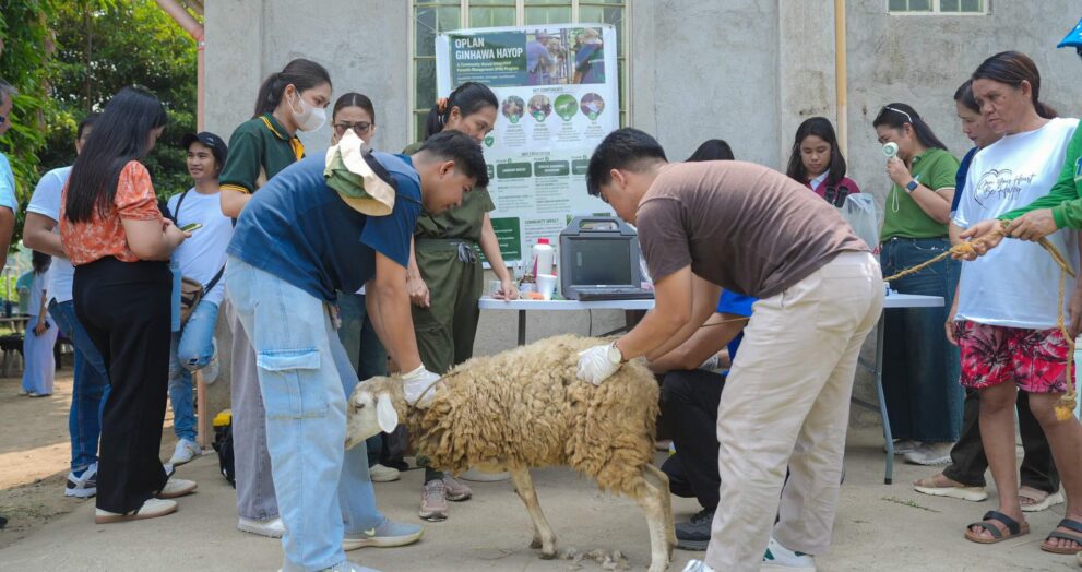 OPV provides free vet services to combat pests