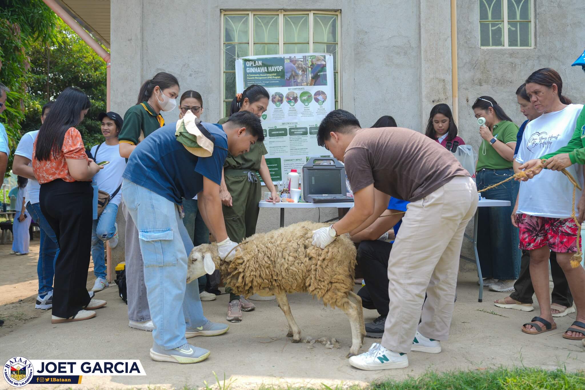 OPV provides free vet services to combat pests